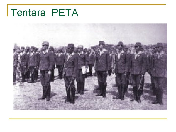 Tentara PETA 