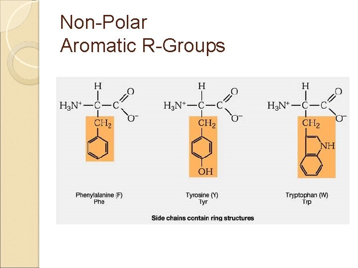 Non-Polar Aromatic R-Groups Non-Polar Aromatic R-Groups