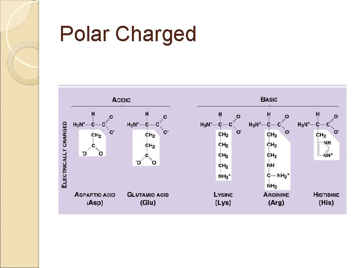 Polar Charged 