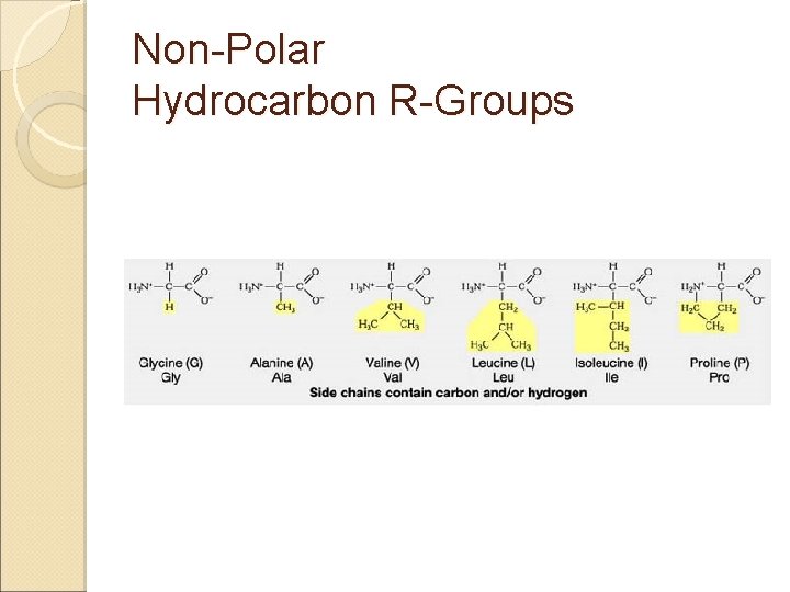 Non-Polar Hydrocarbon R-Groups 