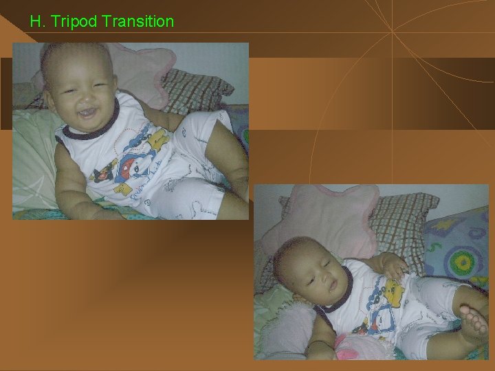 H. Tripod Transition 