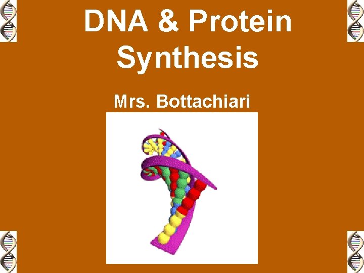 DNA & Protein Synthesis Mrs. Bottachiari 