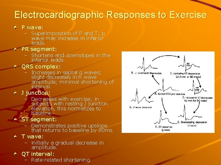 Electrocardiographic Responses to Exercise P wave: – Superimposition of P and T; p wave