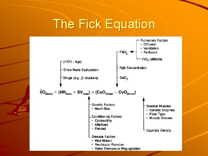 The Fick Equation 