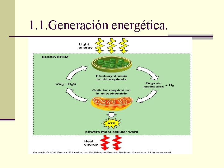 1. 1. Generación energética. 1. 1. Generación energética.