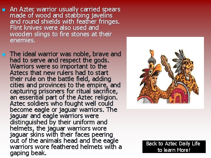 n n An Aztec warrior usually carried spears made of wood and stabbing javelins