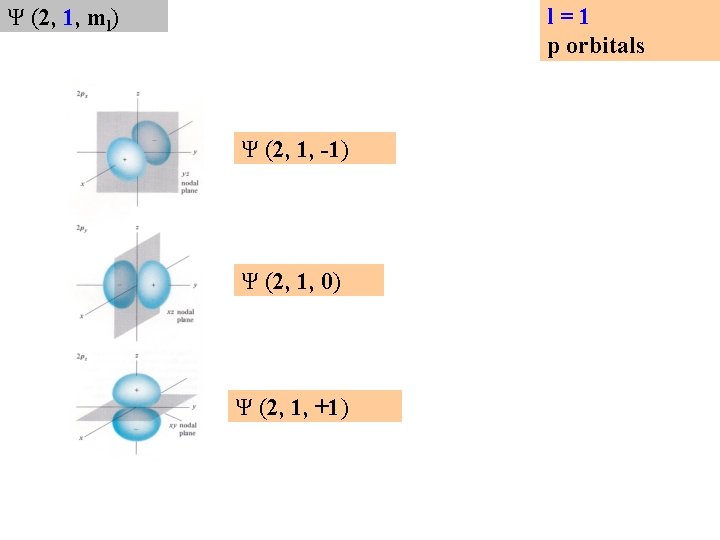 l=1 p orbitals Ψ (2, 1, ml) Ψ (2, 1, -1) Ψ (2, 1,