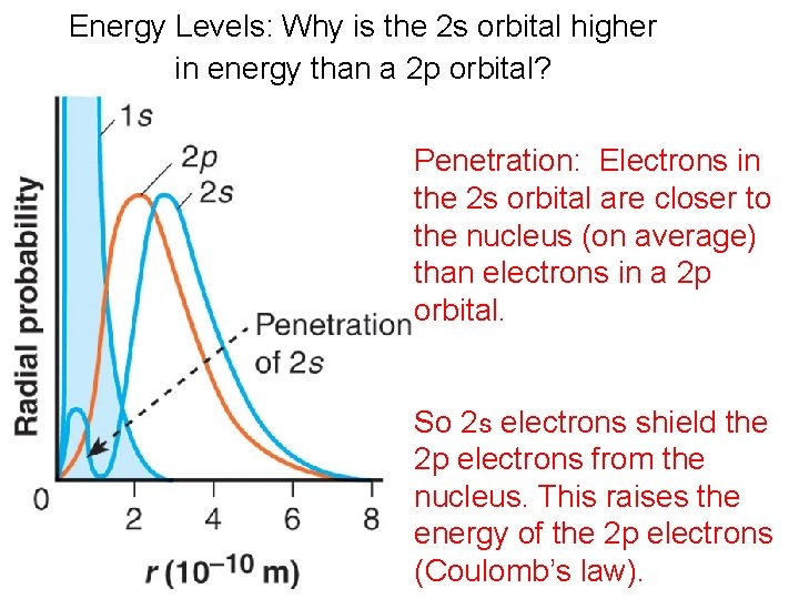 Energy Levels: Why is the 2 s orbital higher in energy than a 2