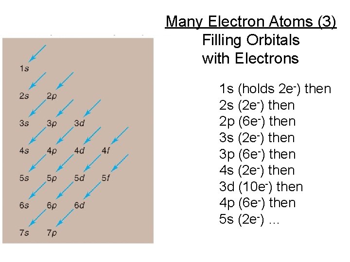 Many Electron Atoms (3) Filling Orbitals with Electrons 1 s (holds 2 e-) then