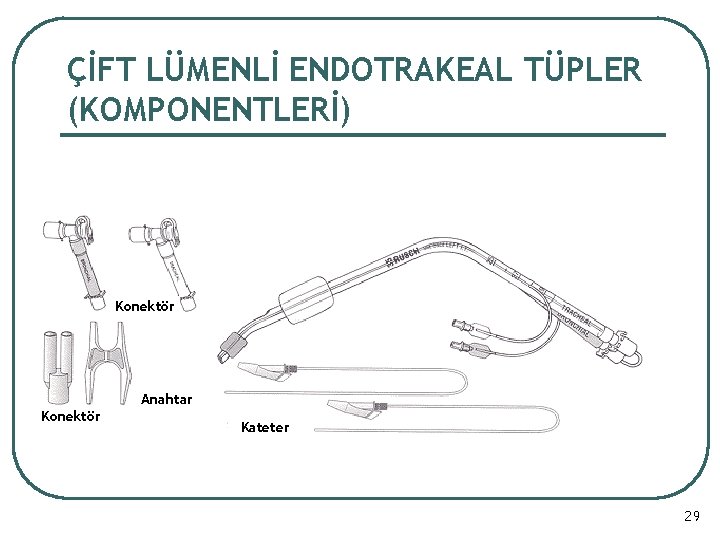 ÇİFT LÜMENLİ ENDOTRAKEAL TÜPLER (KOMPONENTLERİ) Konektör Anahtar Konektör Kateter 29 