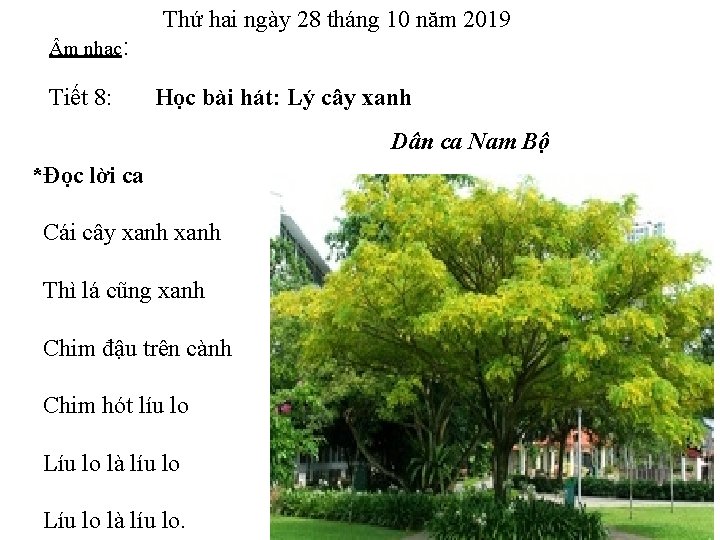  m nhạc: Thứ hai ngày 28 tháng 10 năm 2019 Tiết 8: Học