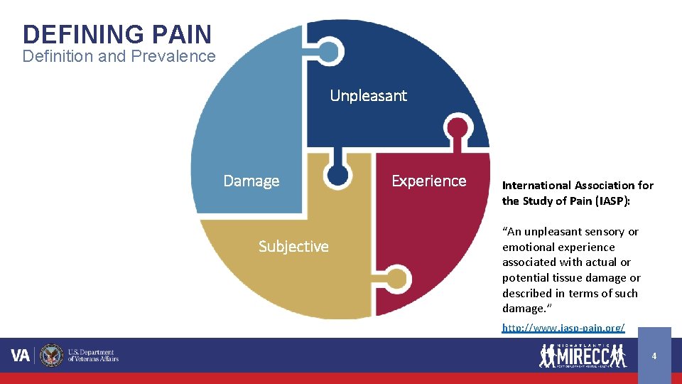 DEFINING PAIN Definition and Prevalence Unpleasant Damage Subjective Experience International Association for the Study DEFINING PAIN Definition and Prevalence Unpleasant Damage Subjective Experience International Association for the Study