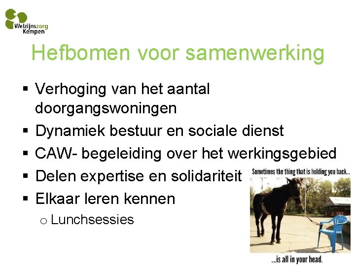 Hefbomen voor samenwerking § Verhoging van het aantal doorgangswoningen § Dynamiek bestuur en sociale