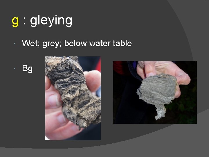 g : gleying Wet; grey; below water table Bg 