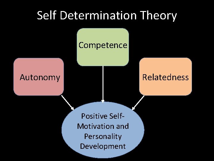 Self Determination Theory Competence Autonomy Relatedness Positive Self. Motivation and Personality Development 