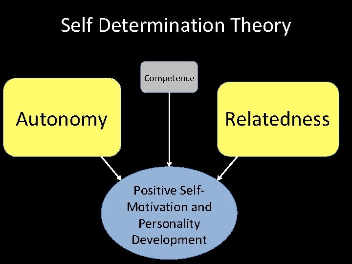 Self Determination Theory Competence Autonomy Relatedness Positive Self. Motivation and Personality Development 