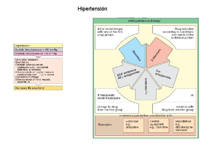 Hipertensión 