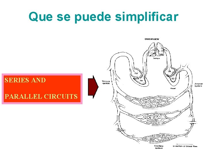 Que se puede simplificar SERIES AND PARALLEL CIRCUITS 