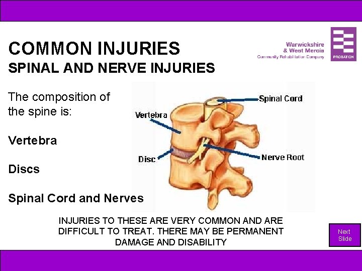 COMMON INJURIES SPINAL AND NERVE INJURIES The composition of the spine is: Vertebra Discs