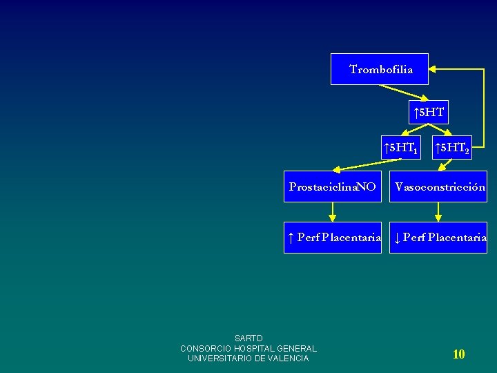 Trombofilia ↑ 5 HT 1 ↑ 5 HT 2 Prostaciclina. NO Vasoconstricción ↑ Perf