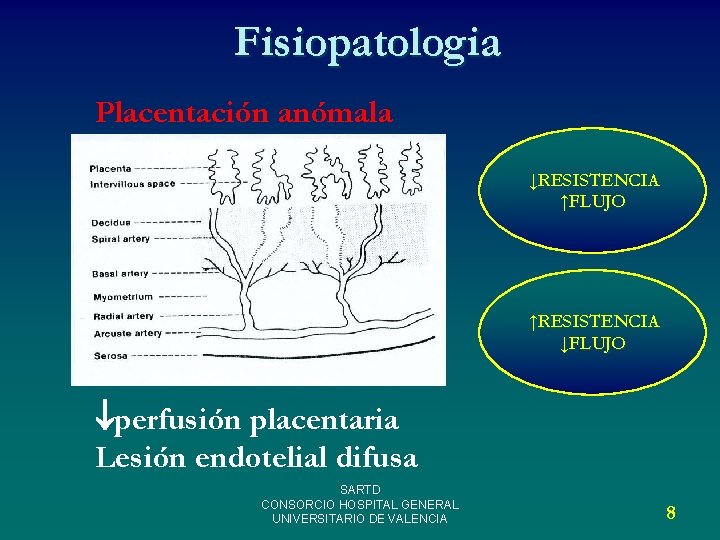 Fisiopatologia Placentación anómala ↓RESISTENCIA ↑FLUJO ↑RESISTENCIA ↓FLUJO perfusión placentaria Lesión endotelial difusa SARTD CONSORCIO