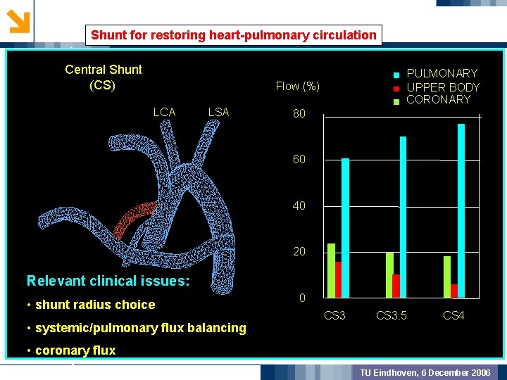 Shunt for restoring heart-pulmonary circulation GEOMETRIC PREPROCSSING Central Shunt (CS) PULMONARY UPPER BODY CORONARY