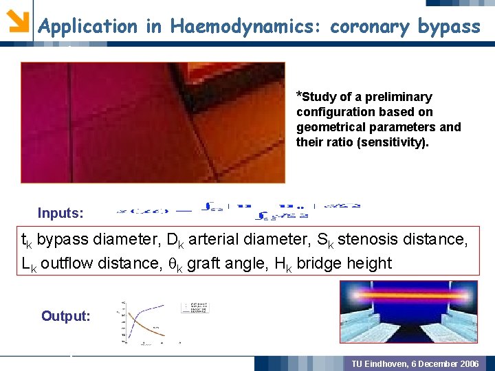 Application in Haemodynamics: coronary bypass GEOMETRIC PREPROCSSING *Study of a preliminary configuration based on