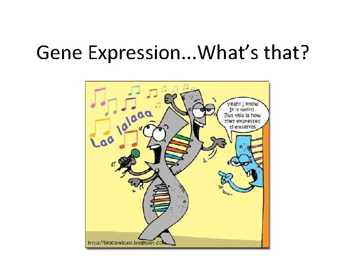 Gene Expression. . . What’s that? 