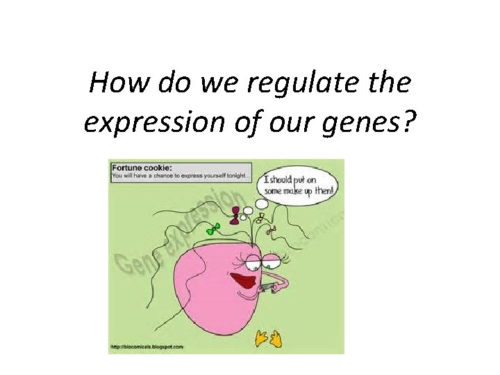 How do we regulate the expression of our genes? 