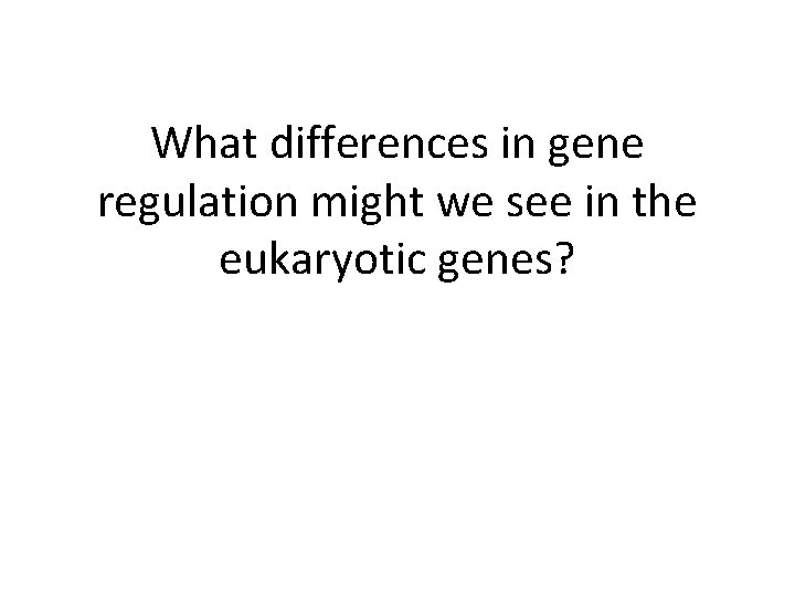 What differences in gene regulation might we see in the eukaryotic genes? 