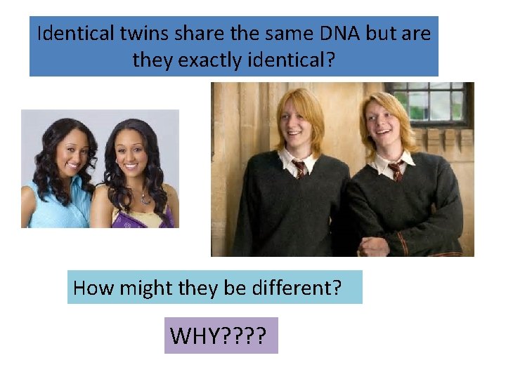 Identical twins share the same DNA but are they exactly identical? How might they