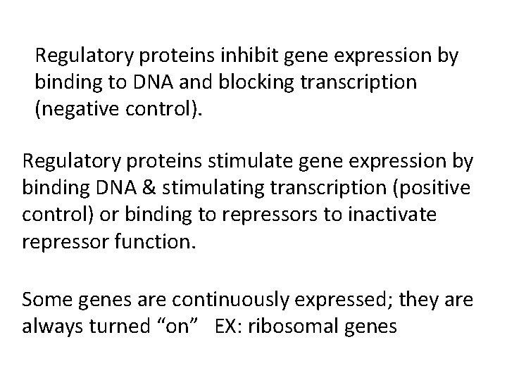 Regulatory proteins inhibit gene expression by binding to DNA and blocking transcription (negative control).