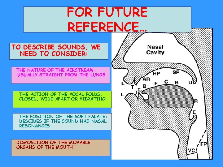 FOR FUTURE REFERENCE… TO DESCRIBE SOUNDS, WE NEED TO CONSIDER: THE NATURE OF THE