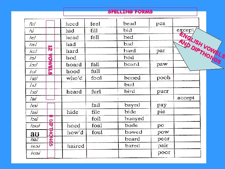 SPELLING FORMS 12 VOWELS EN G AN LISH DD V IPT OW HO ELS