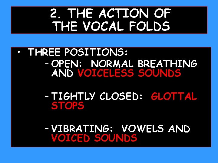 2. THE ACTION OF THE VOCAL FOLDS • THREE POSITIONS: – OPEN: NORMAL BREATHING