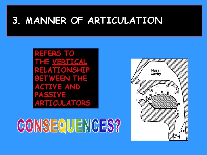 3. MANNER OF ARTICULATION REFERS TO THE VERTICAL RELATIONSHIP BETWEEN THE ACTIVE AND PASSIVE