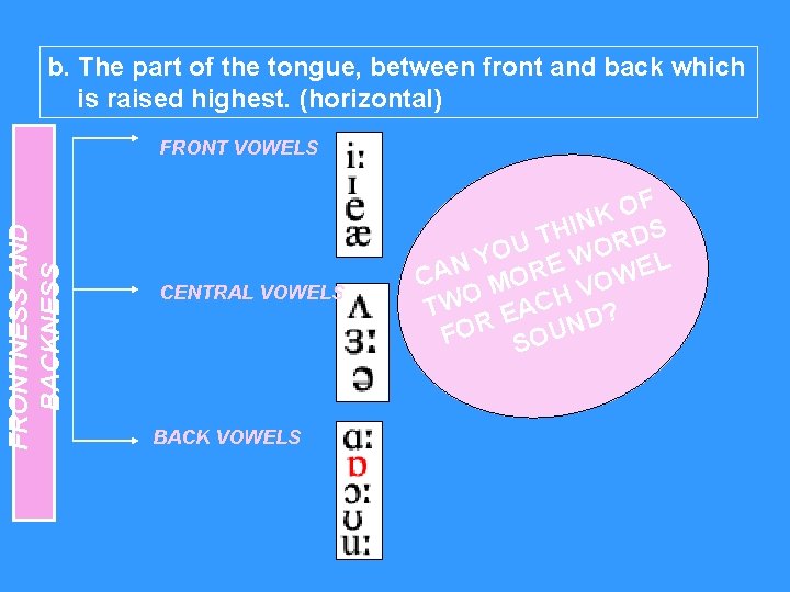 b. The part of the tongue, between front and back which is raised highest.