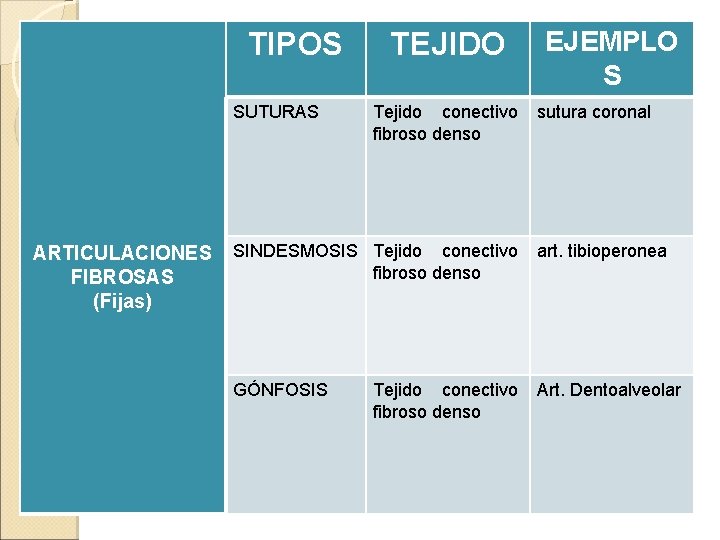 TIPOS SUTURAS ARTICULACIONES FIBROSAS (Fijas) TEJIDO Tejido conectivo fibroso denso EJEMPLO S sutura coronal