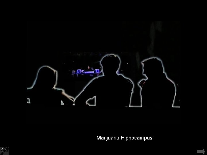 Marijuana Hippocampus ACOE Ralph Cantor 9 