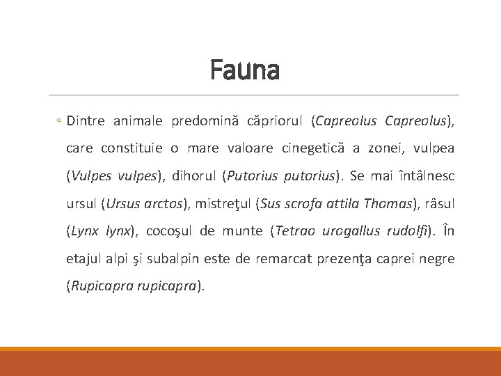 Fauna ◦ Dintre animale predomină căpriorul (Capreolus), care constituie o mare valoare cinegetică a