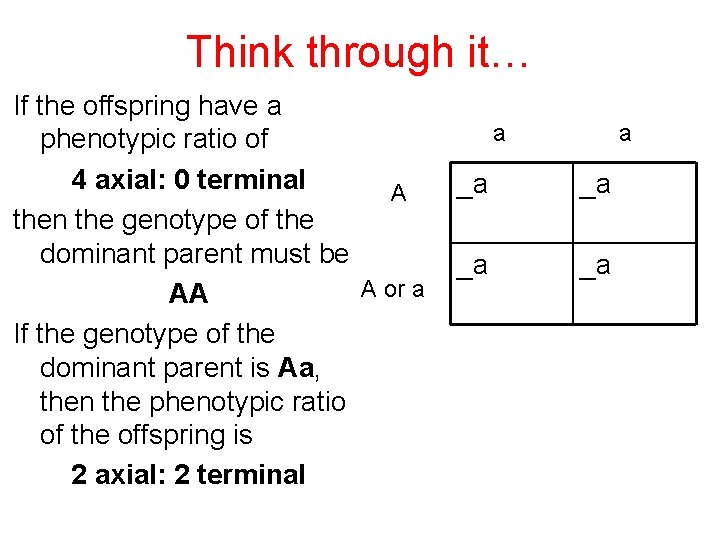 Think through it… If the offspring have a phenotypic ratio of 4 axial: 0 Think through it… If the offspring have a phenotypic ratio of 4 axial: 0