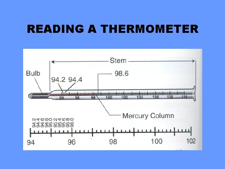 READING A THERMOMETER 