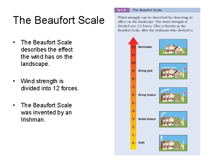 The Beaufort Scale • The Beaufort Scale describes the effect the wind has on