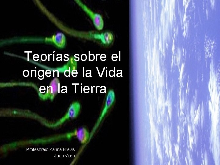 Teorías sobre el origen de la Vida en la Tierra Profesores: Karina Brevis Juan