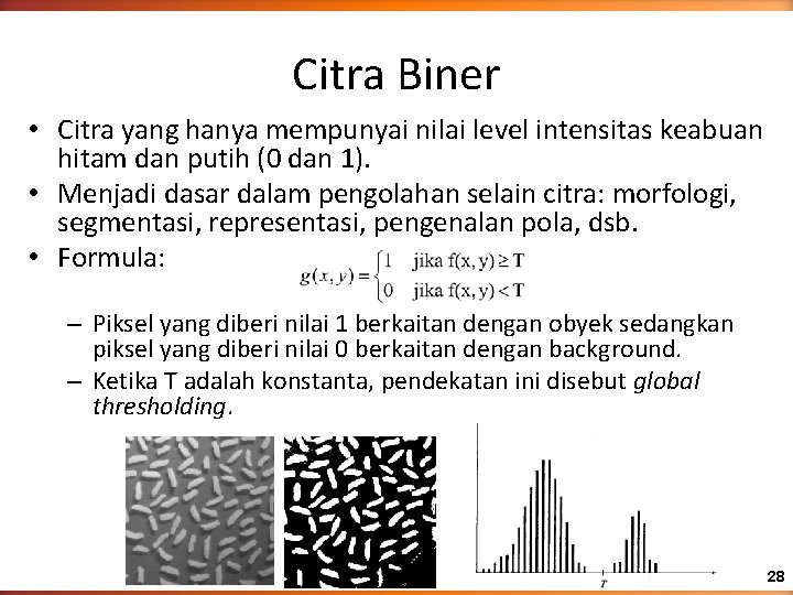 Multimedia dan Computer Vision Citra Abuabu Biner Berwarna