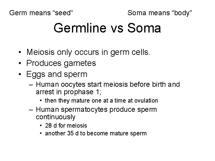 Germ means “seed” Soma means “body” Germline vs Soma • Meiosis only occurs in