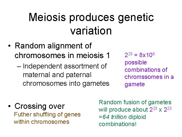 Meiosis produces genetic variation • Random alignment of chromosomes in meiosis 1 – Independent