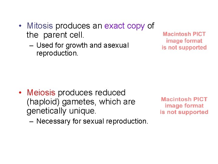  • Mitosis produces an exact copy of the parent cell. – Used for