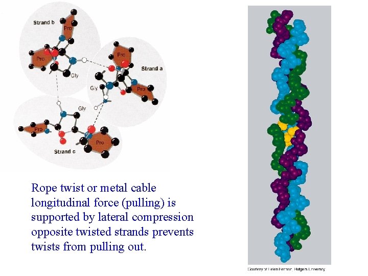 Rope twist or metal cable longitudinal force (pulling) is supported by lateral compression opposite