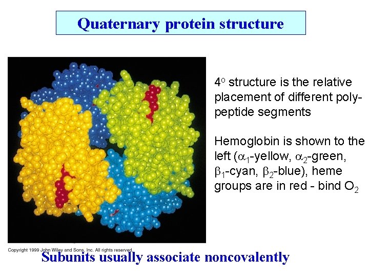 Quaternary protein structure 4 o structure is the relative placement of different polypeptide segments